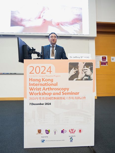 HK Wrist Course 2024- Seminar  - 148 of 257